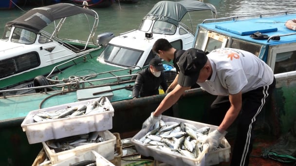 Future for sustainable fishery: Restructuring fishing fleets